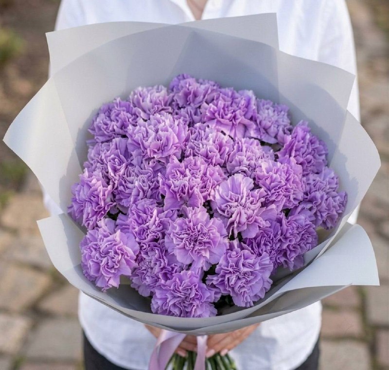 Моно-букет из 25 фиолетовых диантусов